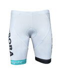 BONAVELO Fahrradshorts ohne Träger - BORA UCI 2017 KIDS - Grau