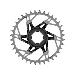 SRAM Kettenblatt - XX T-TYPE 34T - Silber/Schwarz