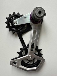 SRAM Riemenscheiben - CAGE ASSEMBLY KIT XX T-TYPE EAGLE AXS - Schwarz