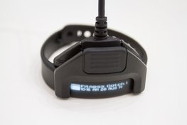 GARMIN Ladegerät - VÍVOSMART - Schwarz