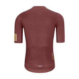 HOLOKOLO Kurzarm Fahrradtrikot - VICTORIOUS GOLD - Braun/Gold