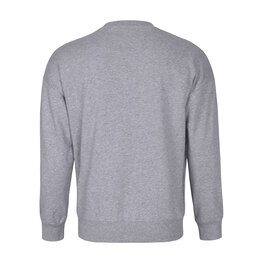 HOLOKOLO Kapuzenpullover - PELOTON - Grau/mehrfarbig