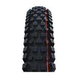 SCHWALBE Reifen - ALBERT GRAVITY PRO 29x2.50 EVOLUTION 67EPI - Schwarz