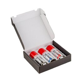 CYCLON BIKE CARE eBike Reinigungsset - E-BIKE COLLECTION BOX 3x100 ml