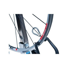 PARK TOOL Zentrierschlüssel - CENTERING KEY DT TORX T20 PT-SW-5C - Grau