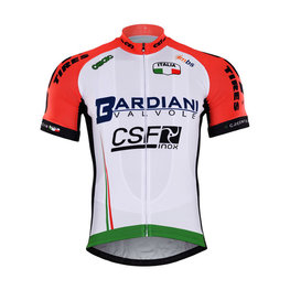 Kurzarm Fahrradtrikot - BARDIANI 2017 - Grün/Rosa/Weiß