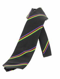 SANTINI sonstige - UCI - Blau